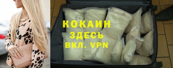 твердый Аркадак