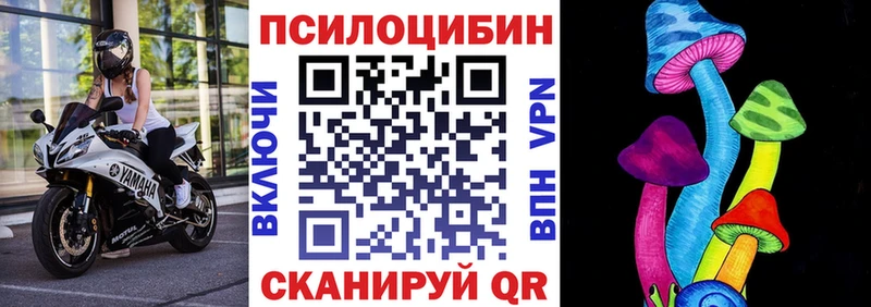 Псилоцибиновые грибы Psilocybe  Зверево 